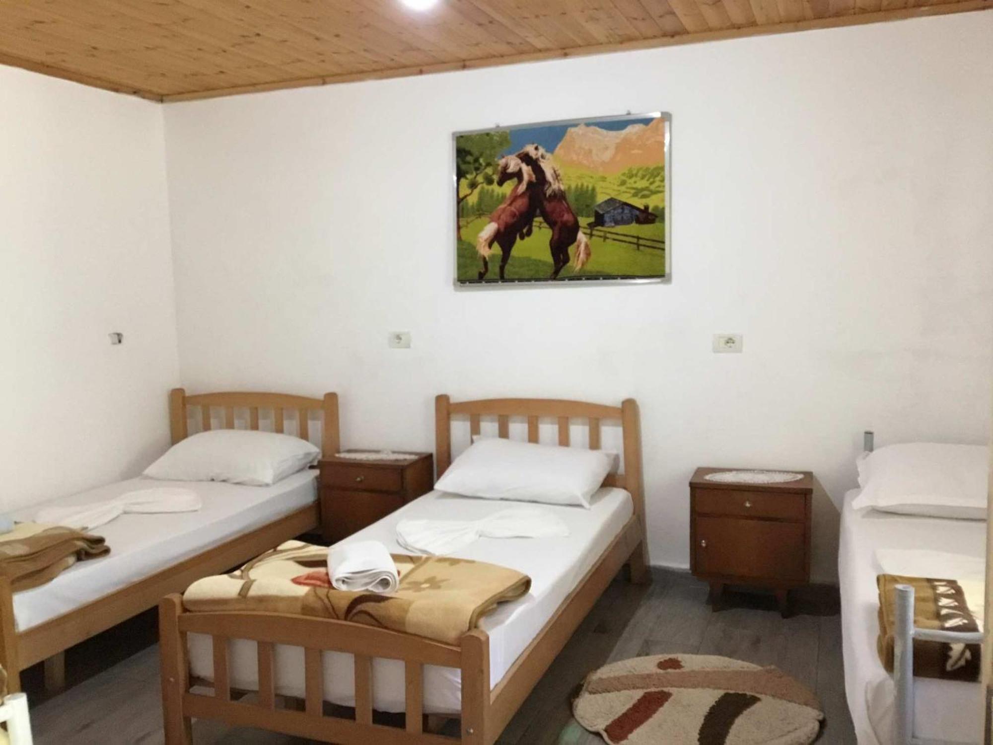 Zariklis Hotel Theth Ngoại thất bức ảnh