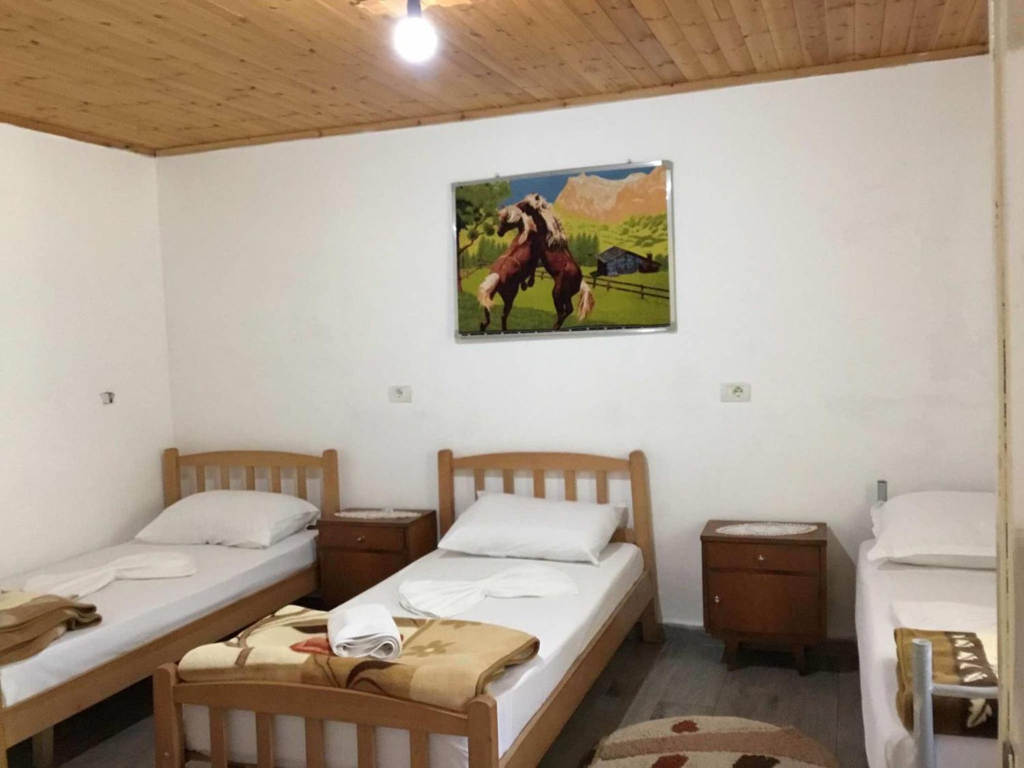 Zariklis Hotel Theth Ngoại thất bức ảnh